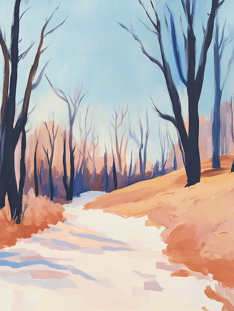 Winter In The Woods