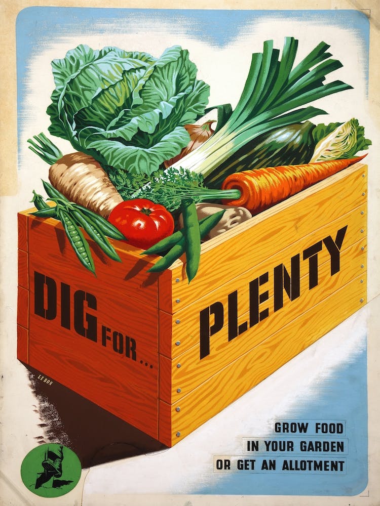 Dig For Plenty War Poster