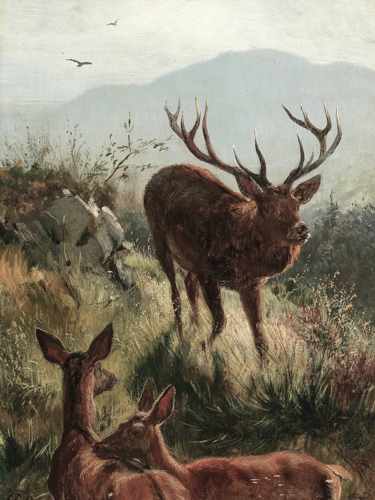 Cerf et Biche