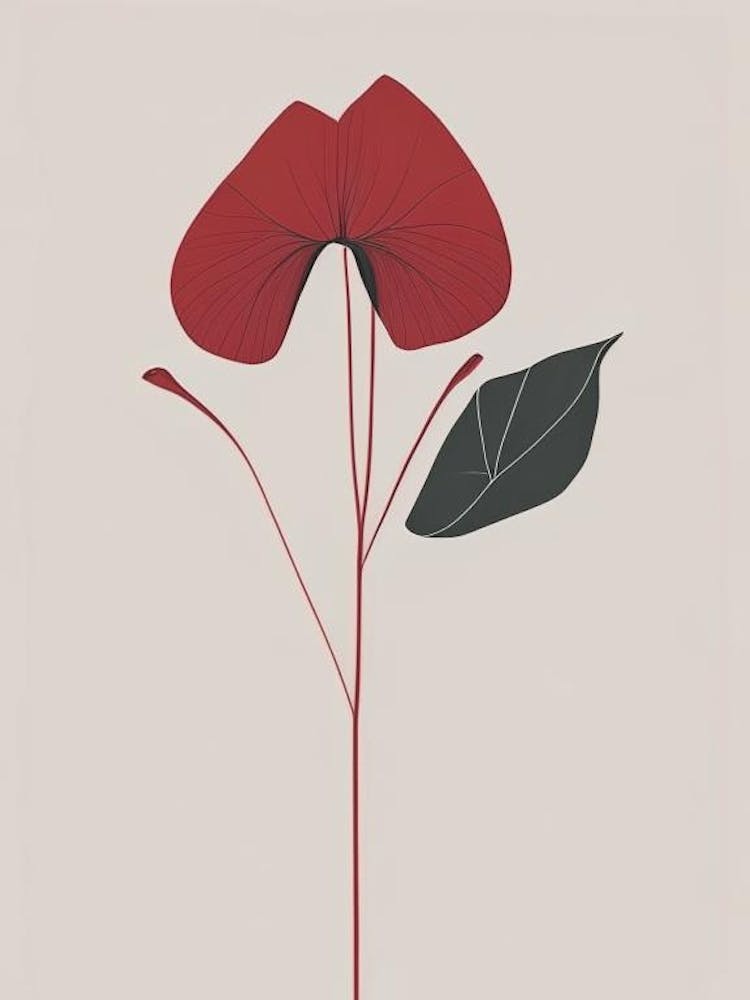 Red Trillium Wildflower Simplicity
