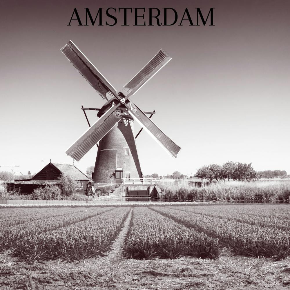 Windmill in a Field of Flowers, Black and White Photo, Wall