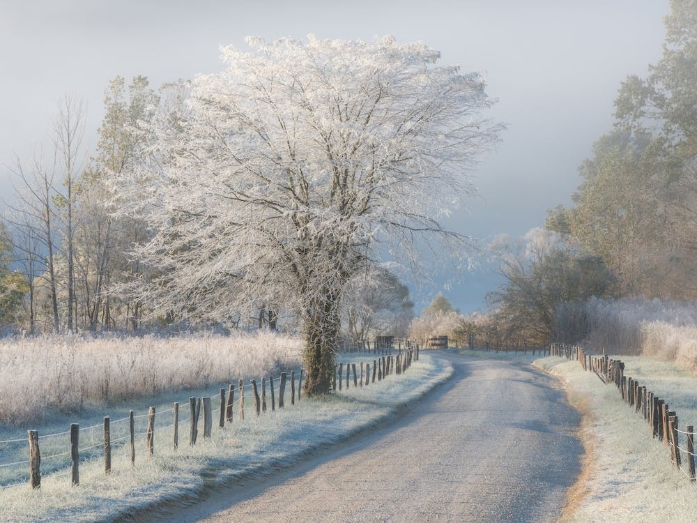 A Frosty Morning
