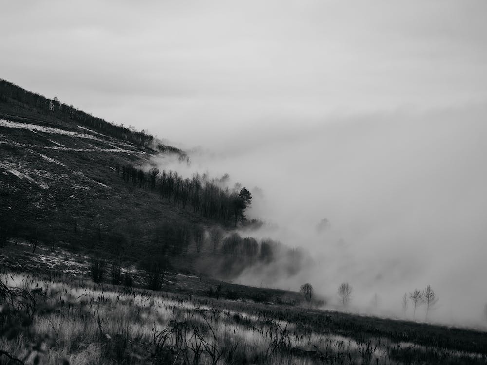 Black & White, Portugal