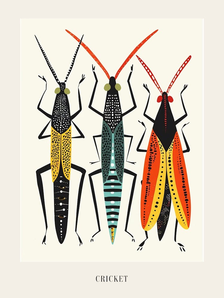 Colourful Insect Illustration Cricket 4 Poster