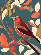 Hermit Thrush Pop Matisse Bird