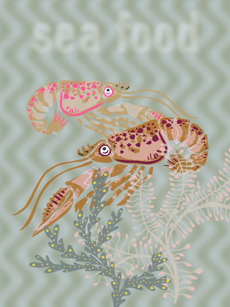 Sea Life Sea Food Shrimps