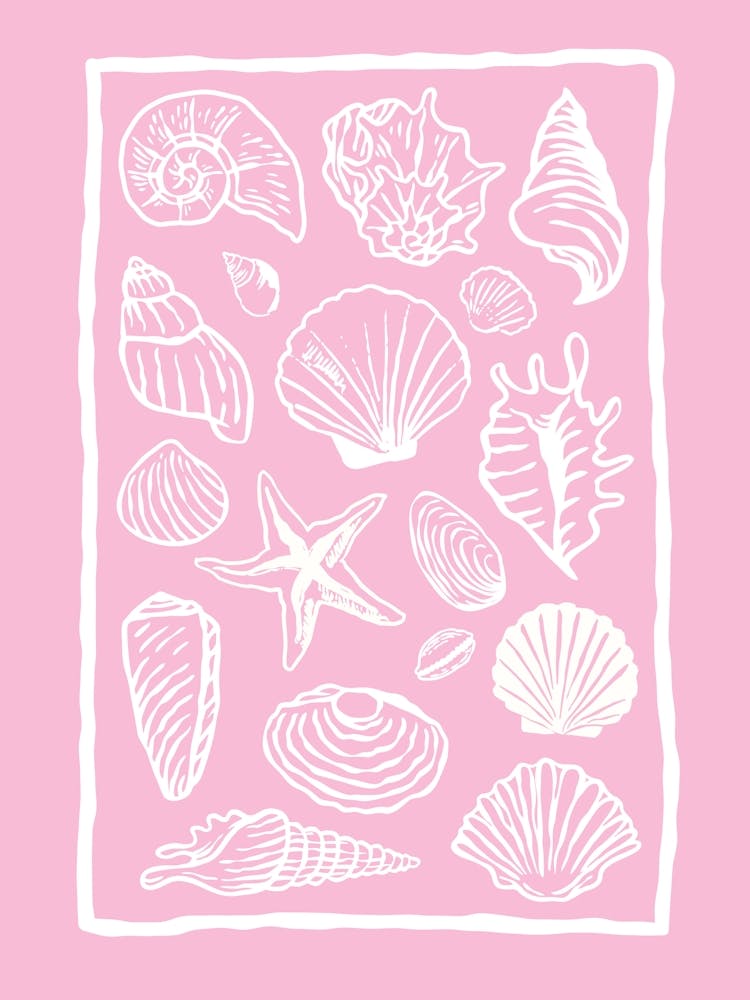 Seashells Pink