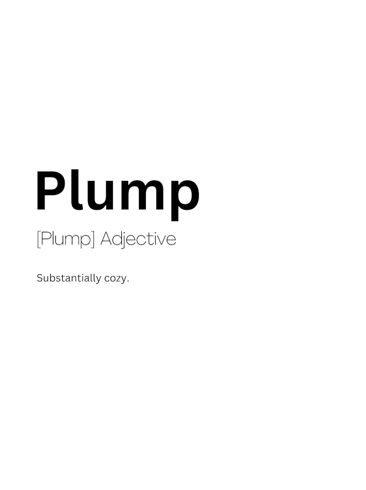 Plump Definition Meaning