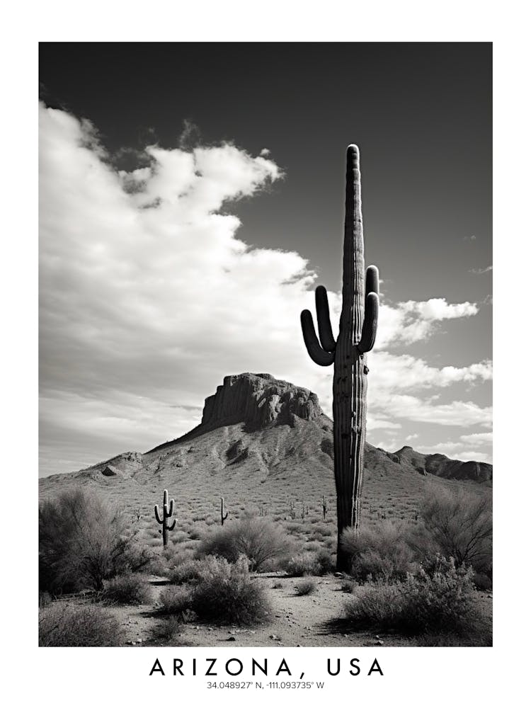 Poster Of Arizona, Usa, Black And White Analogue Photograph 4