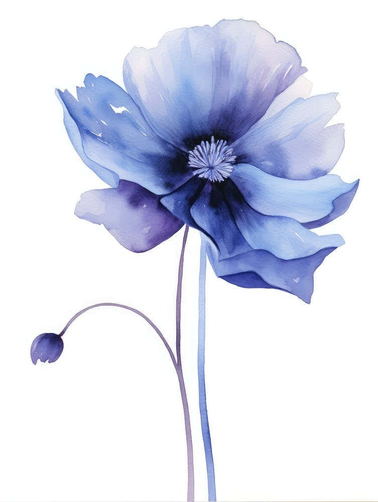 Blue Poppy Watercolor Painting