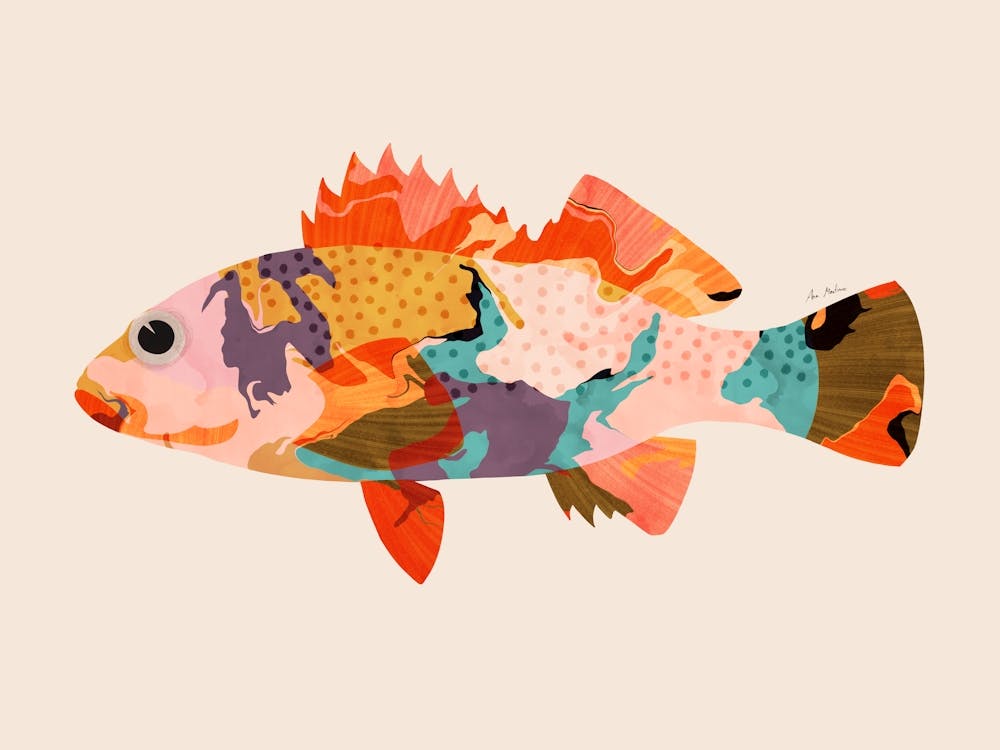 Colorful Fish III