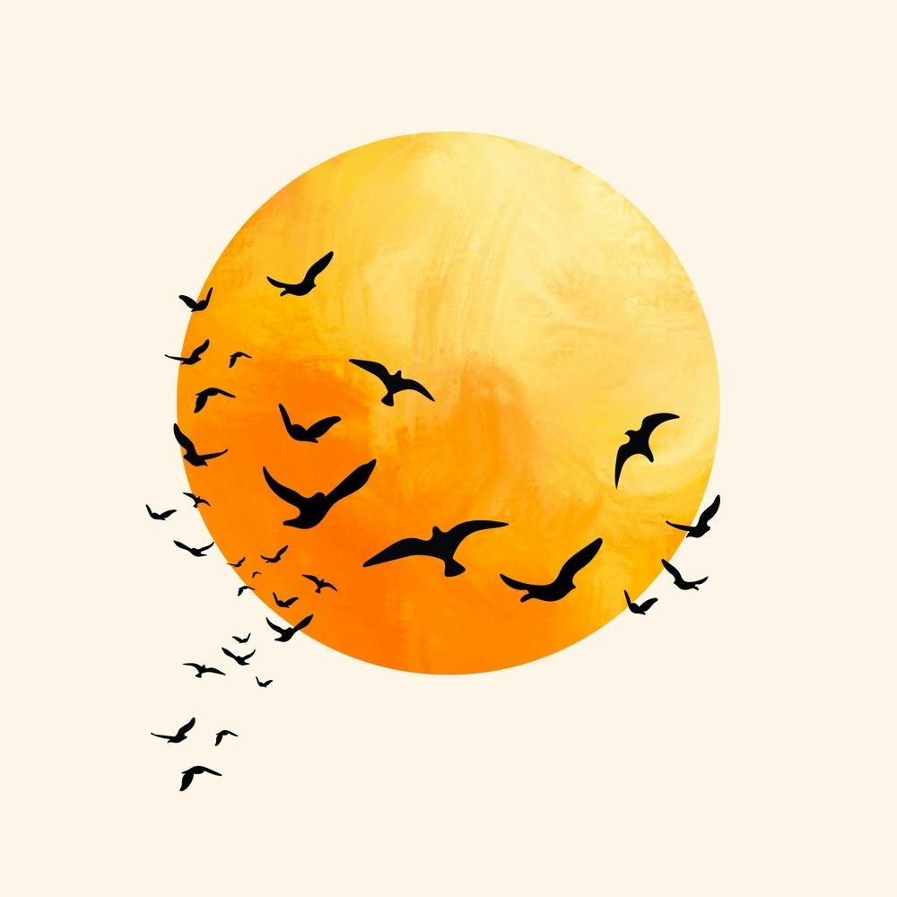 Sun And Bird Design