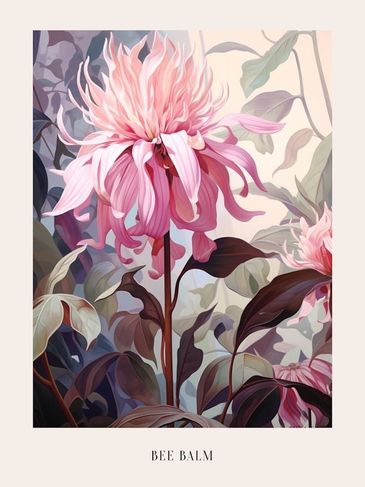 Floral Illustration Bee Balm 2 Poster