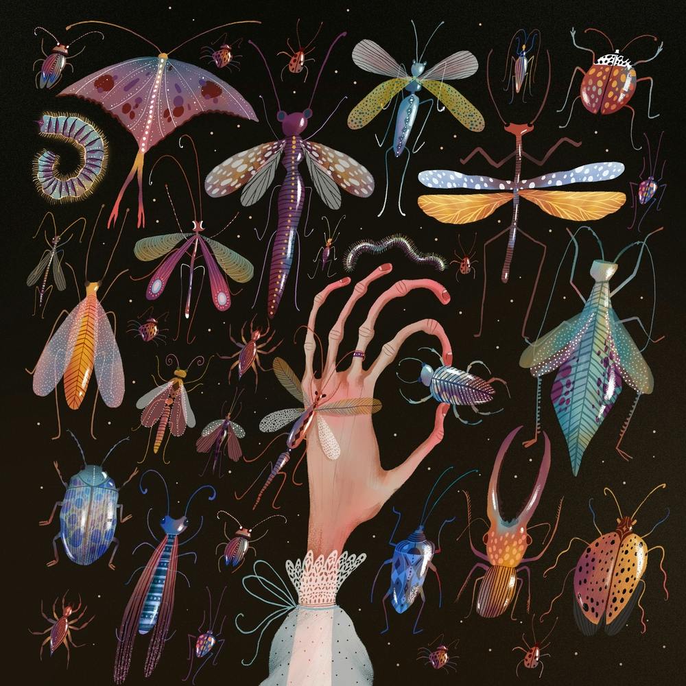 Bugs And Butterflies