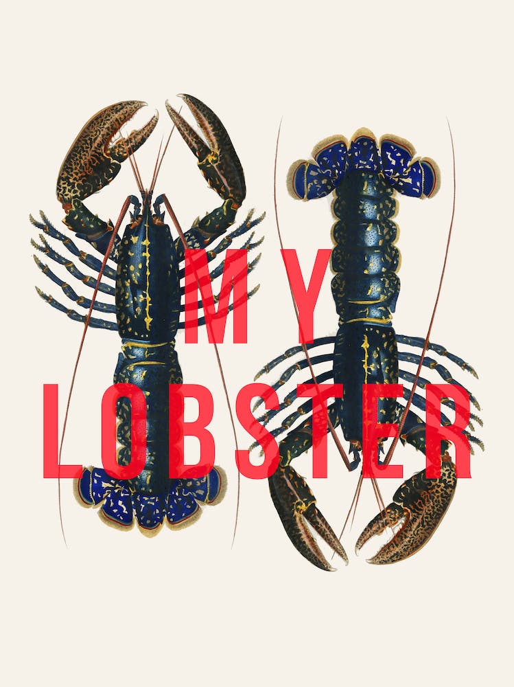 My Lobster