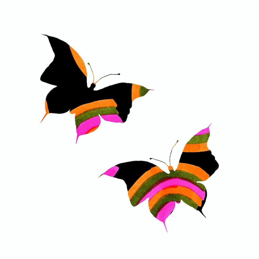 Butterflies Rainbow2