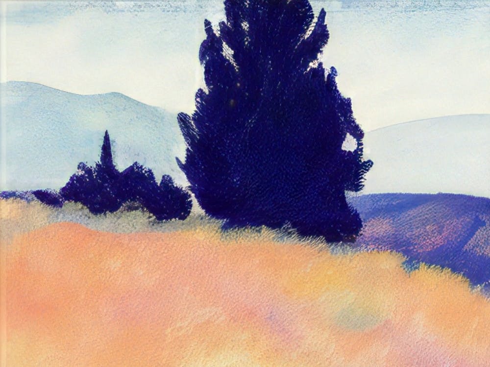Cypresses On A Hillside