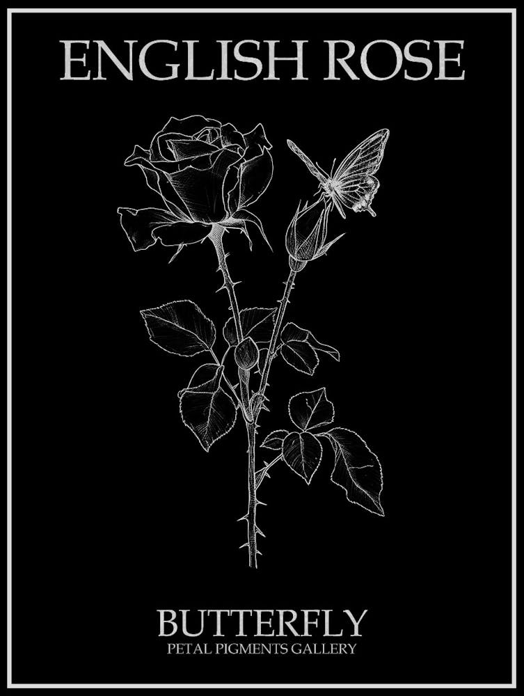 English Rose Butterfly Line Drawing 4 Poster Inverted