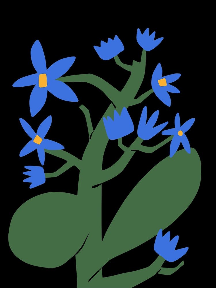 Nocturnal Blue Flower