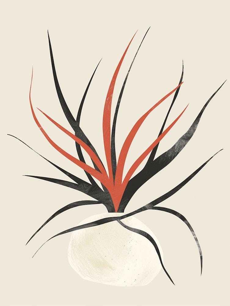 Air Plant Plant Minimalist Illustration 5