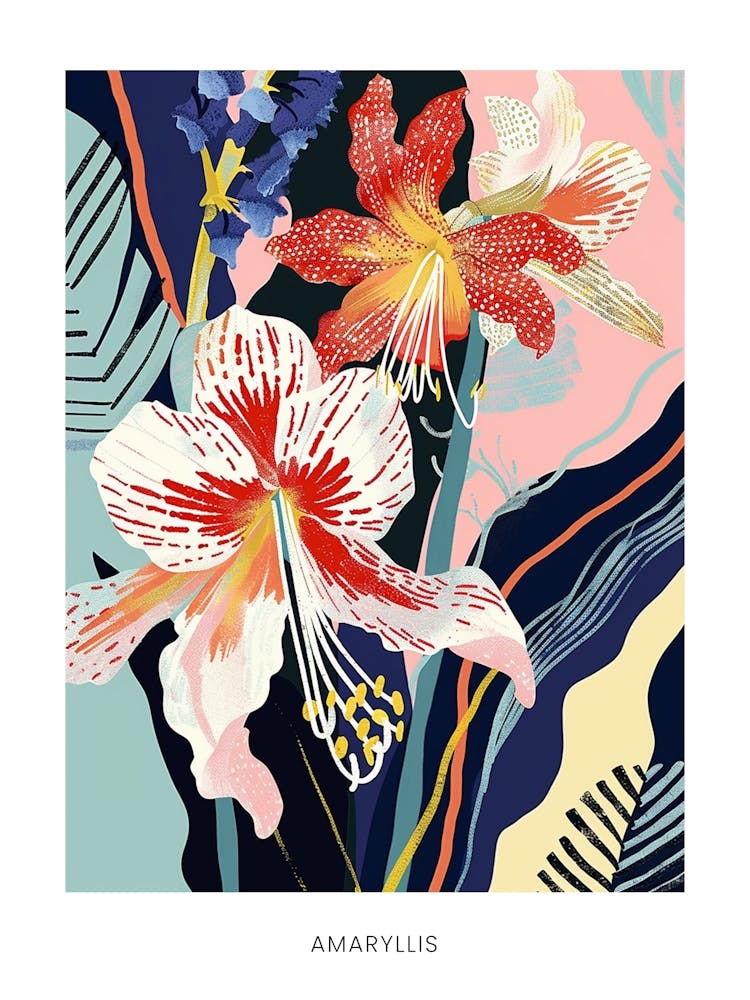 Colourful Flower Illustration Poster Amaryllis 6