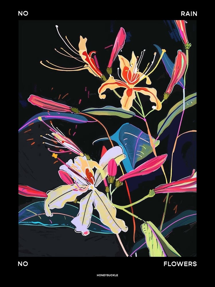 No Rain No Flowers Poster Honeysuckle 4