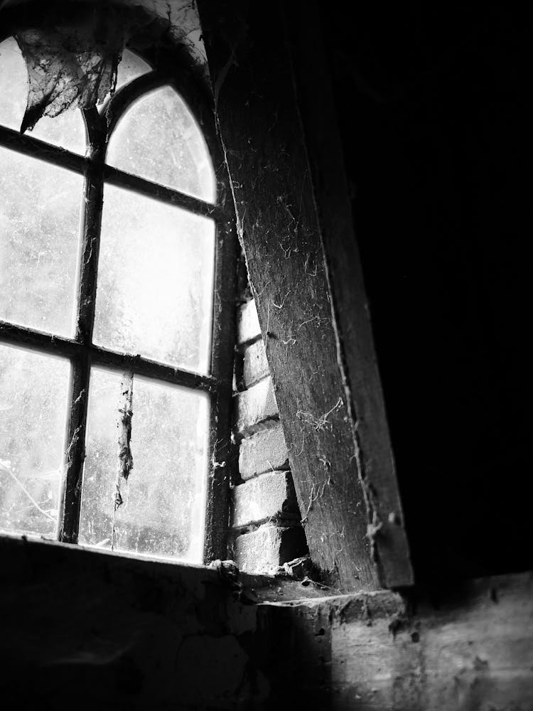 Window and spiderwebs in an Dutch farm // The Netherlands Travel Photography