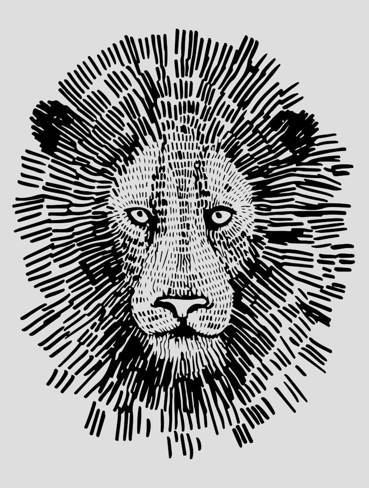 Abstract Bold Lion Face Illustration