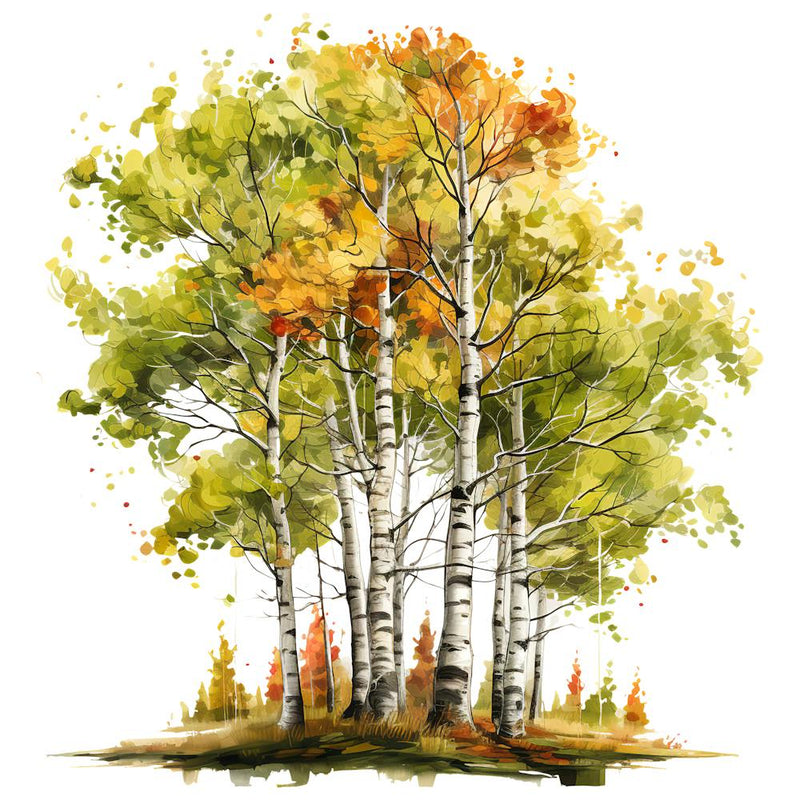 Watercolor Birch Trees