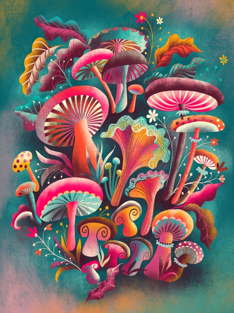 Fantastic Fungi