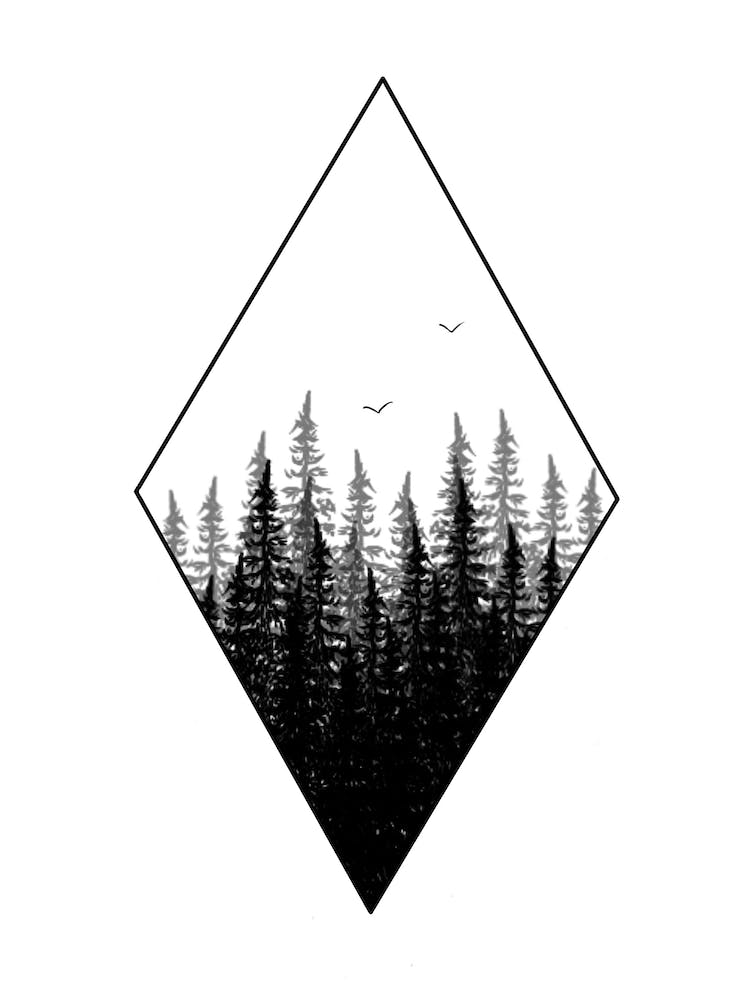 The Forest Illustration