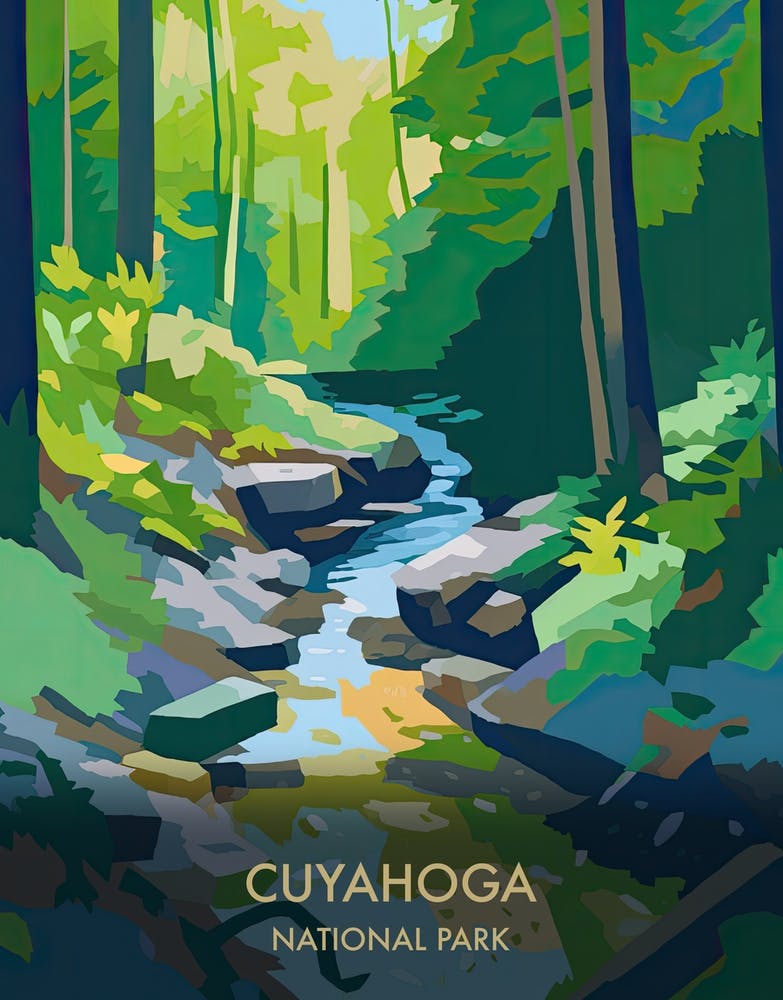 Cuyahoga National Park Travel Poster Matisse Style 1