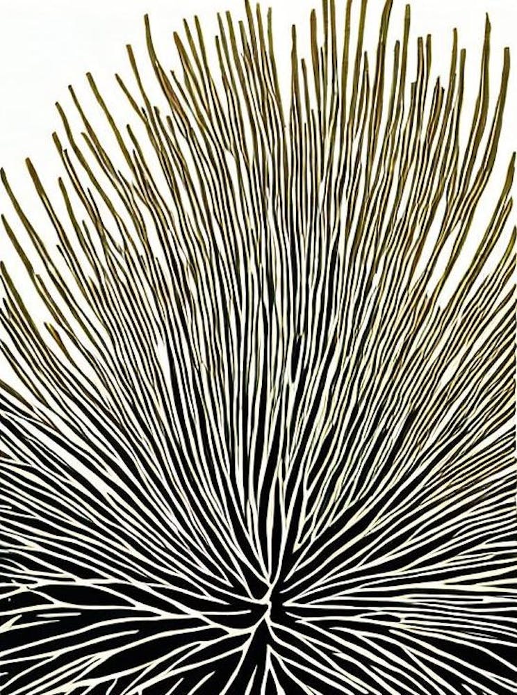 Acropora Humilis Linocut