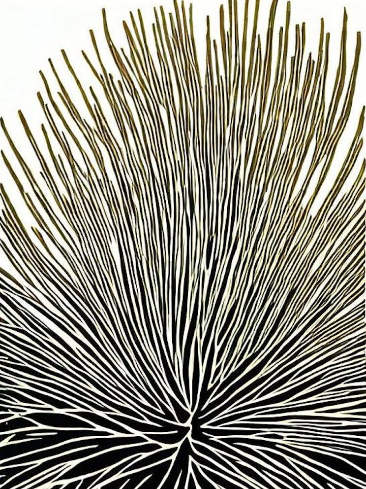 Acropora Humilis Linocut