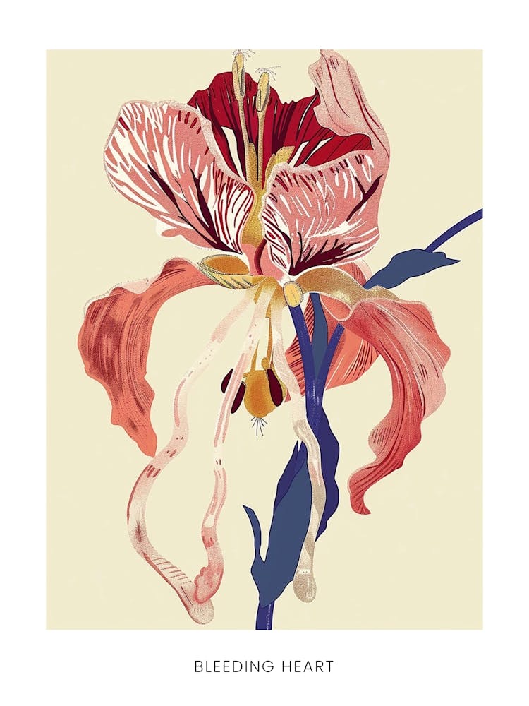 Affiche illustration fleur colorée Cœur de Marie 4