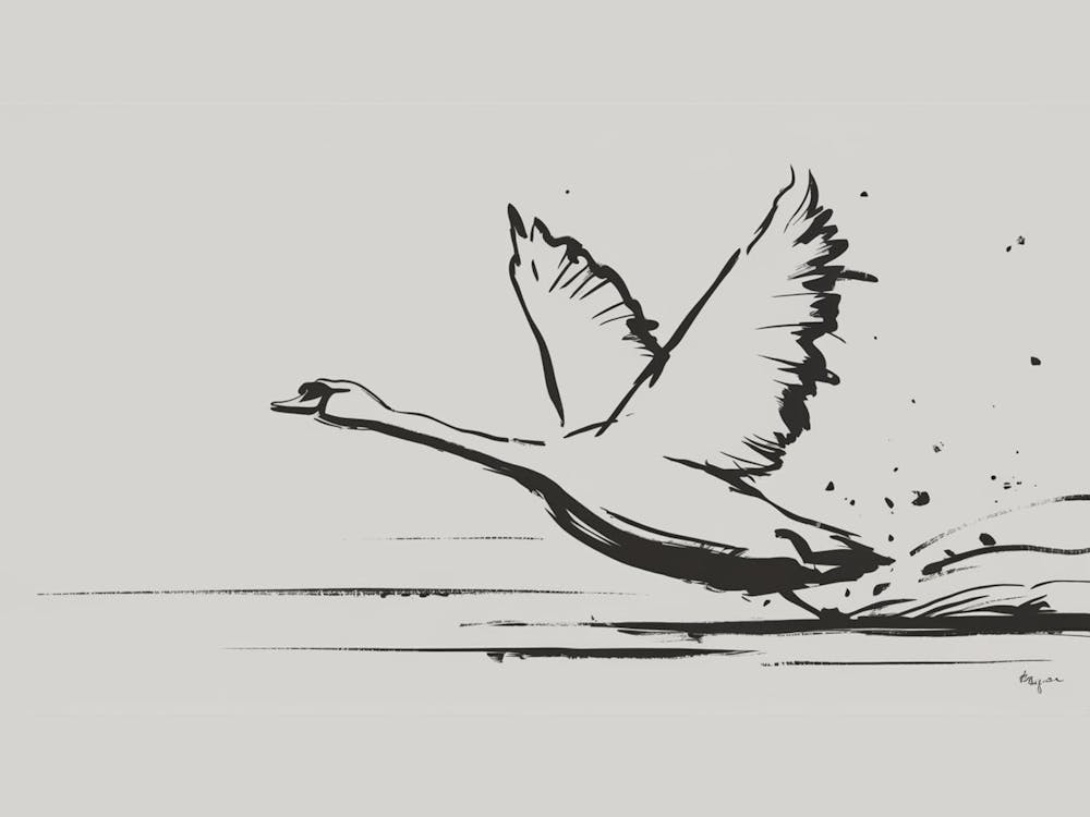 Schwan im Flug