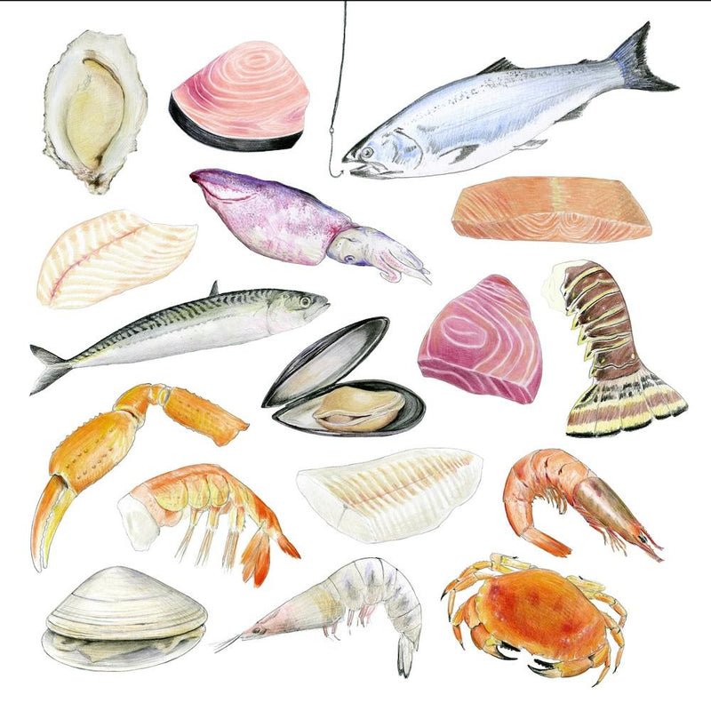 Sea Food Colourful Square