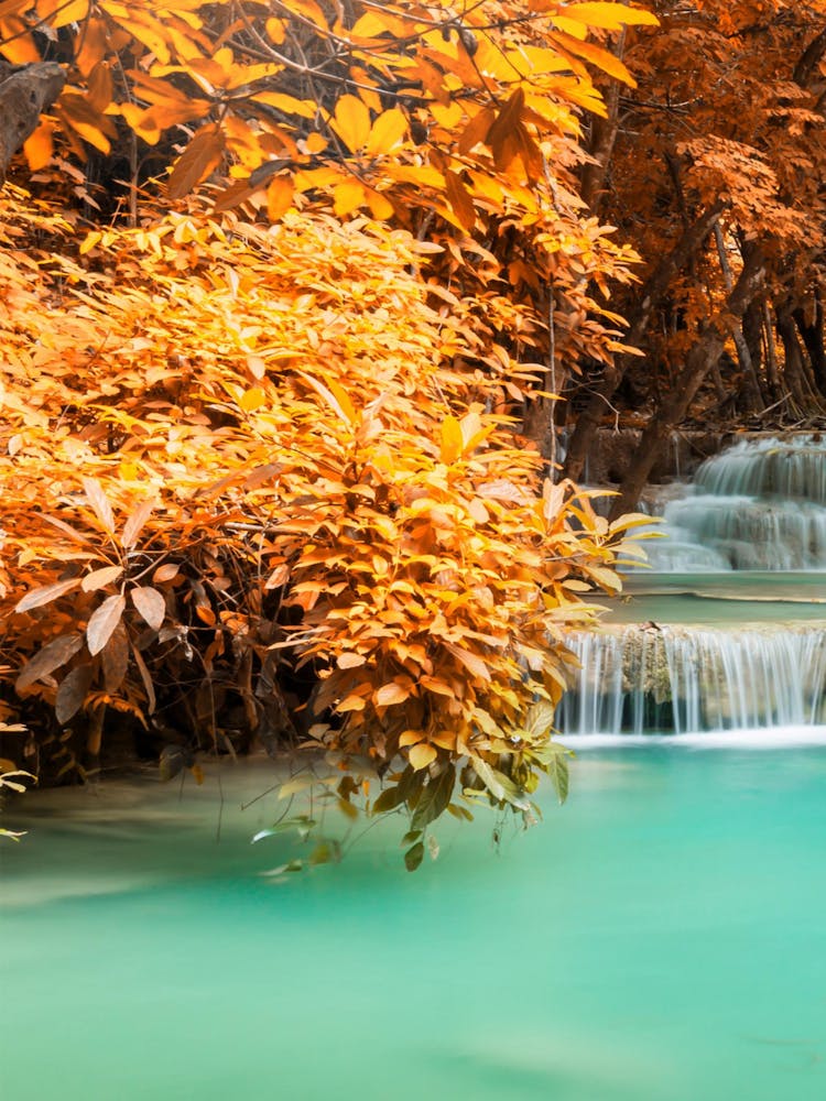 Waterfall In The Forest 1