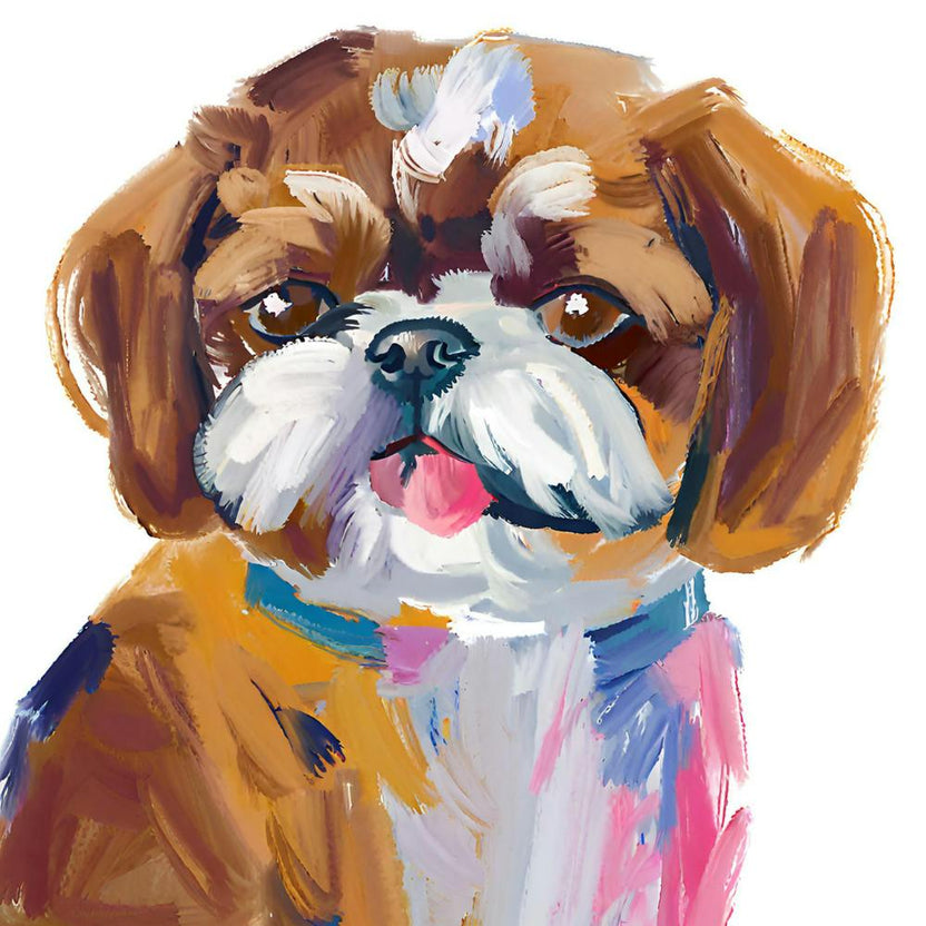 Shih Tzu 04
