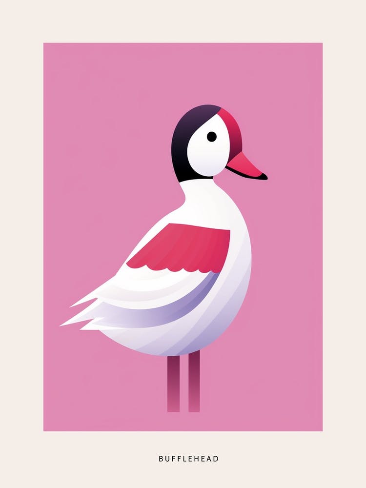 Minimalist Bufflehead 3 Bird Poster