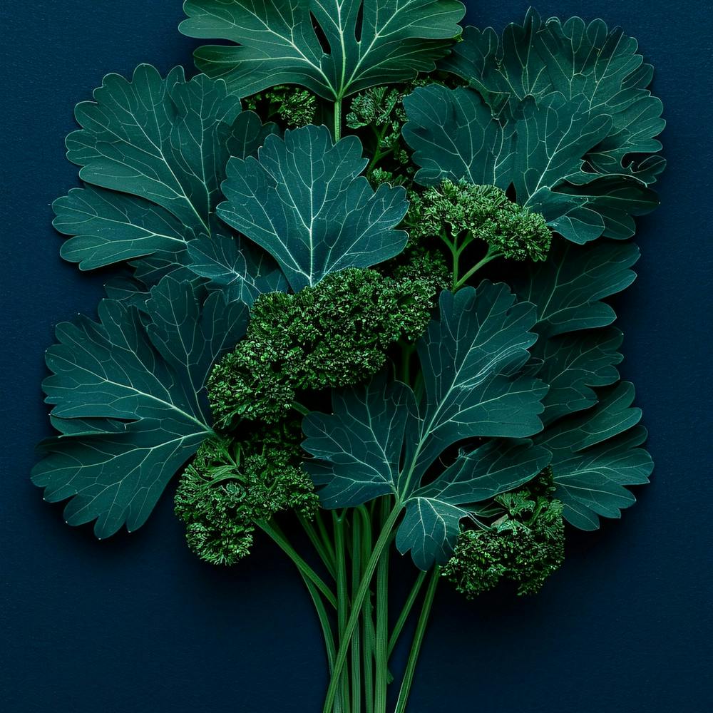 Kale Dark