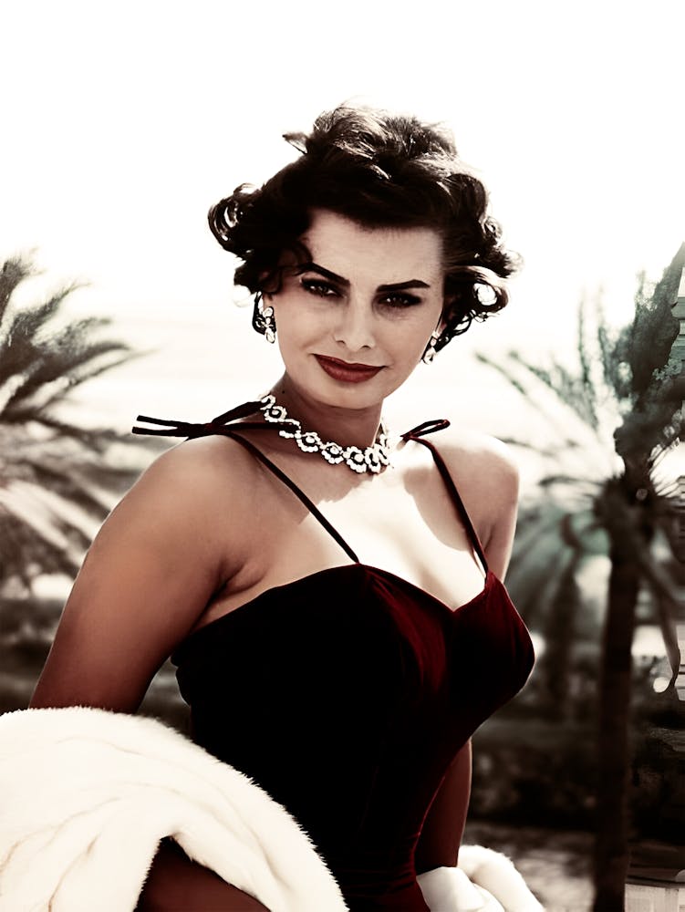 Schauspielerin Sophia Loren