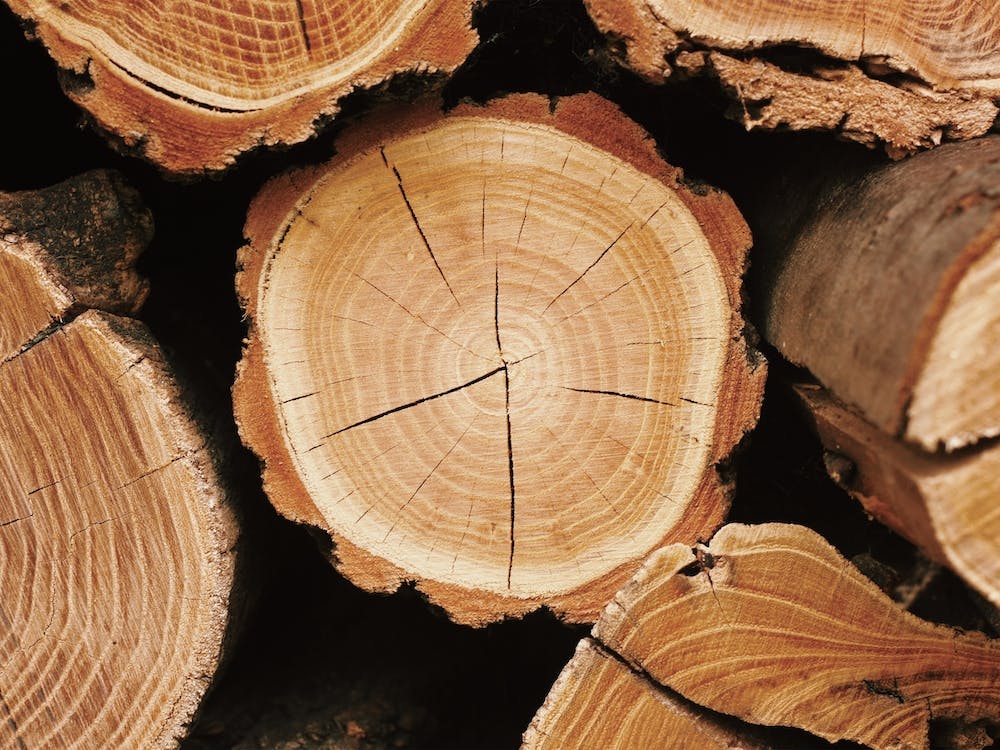 Log Pile