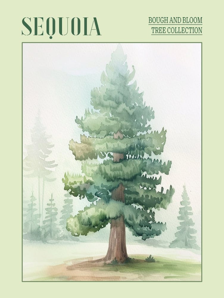 Sequoia Tree Atmospheric Watercolour Painting 2 Poster
