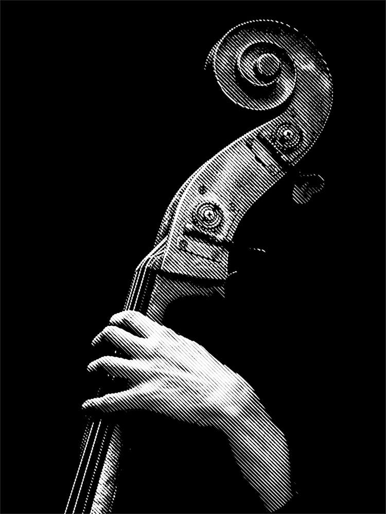 Cello Player in Line Art Illustration