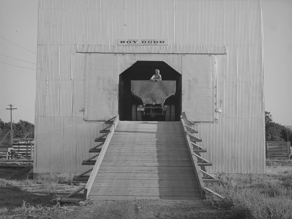 Truck Which Carries Bulk Wheat In Entrance To Private Elevator, Touchet, Walla Walla County, Washington By