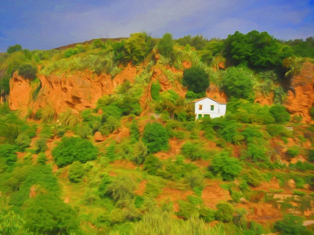 The House In The Hills