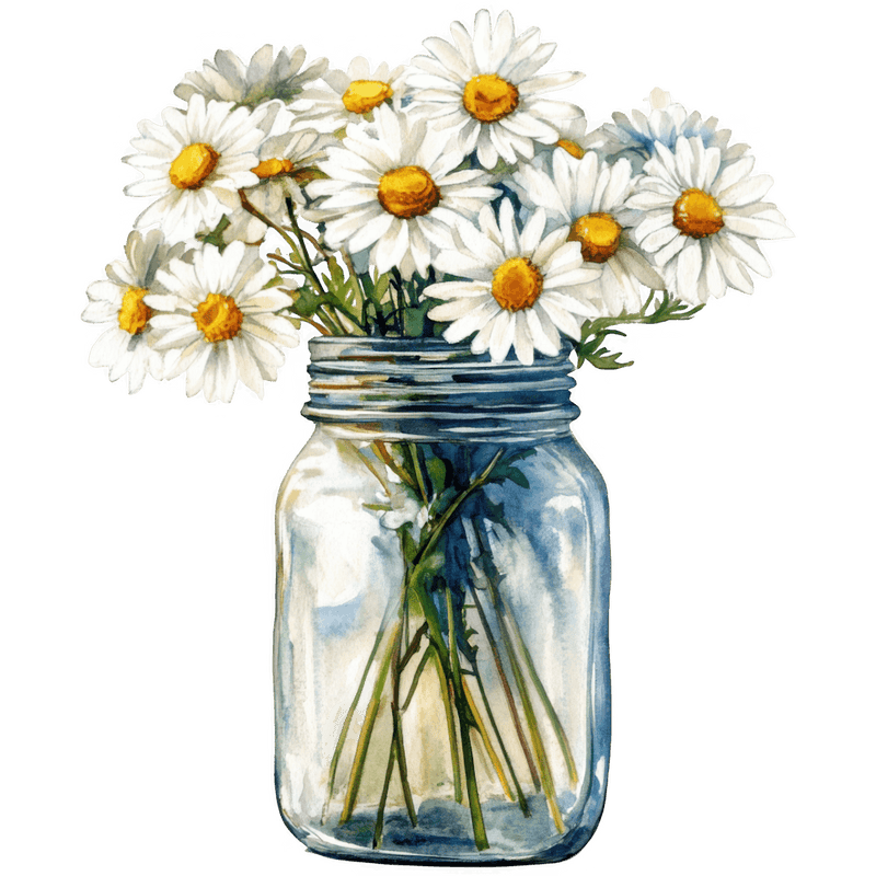 Daisy Flower 3