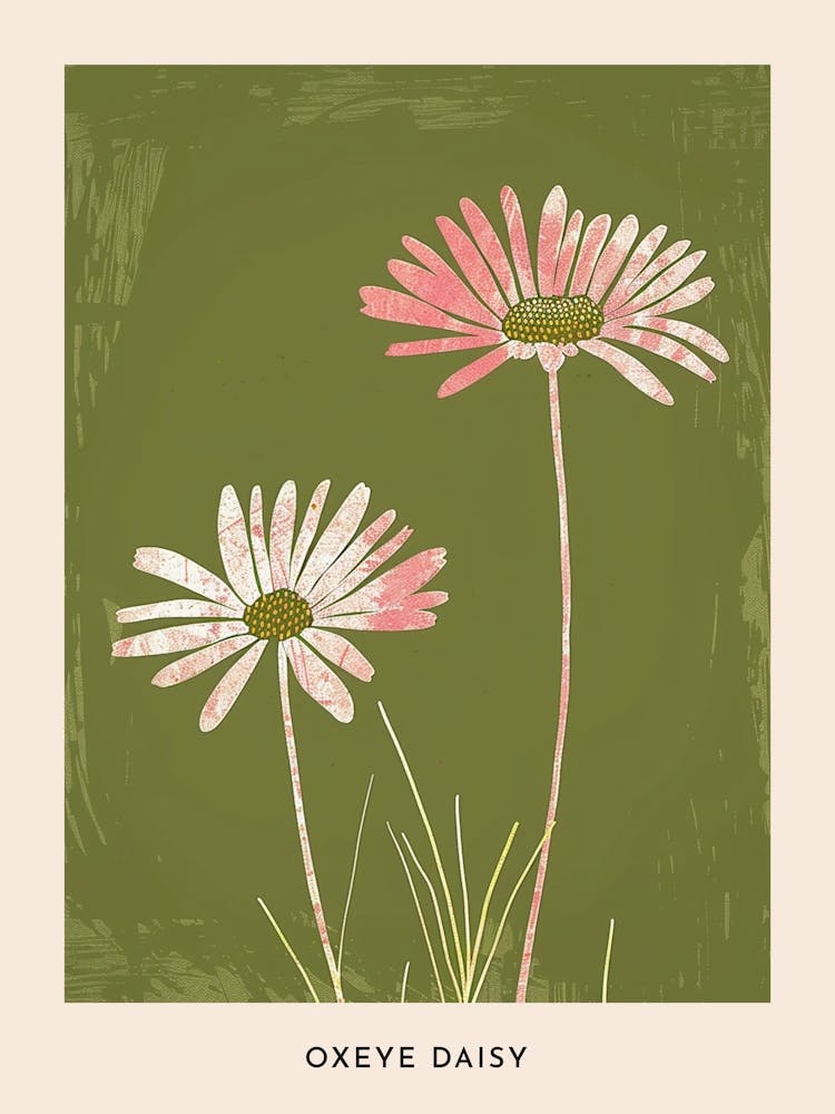 Pink & Green Oxeye Daisy Flower Poster