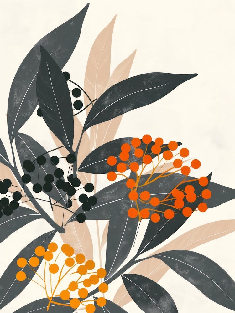 Elderberries Close Up Illustration 3